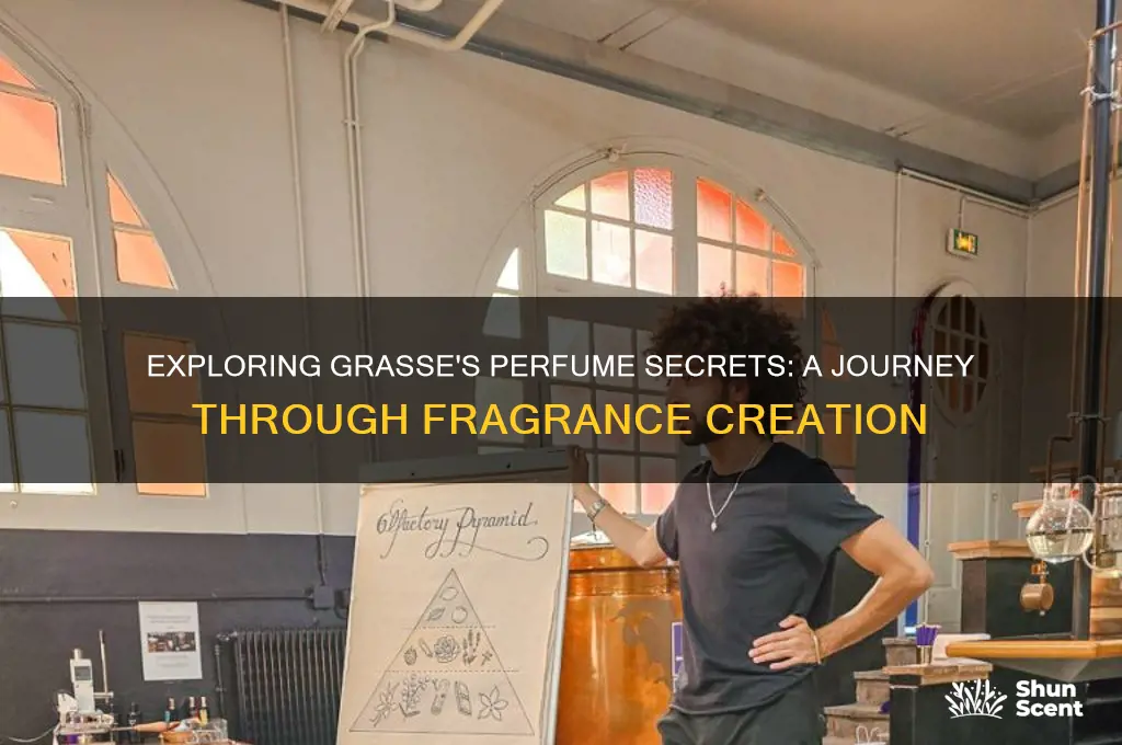 what happens in grasse perfume
