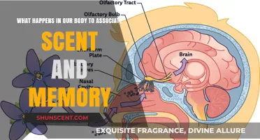 The Fragrant Link: How Our Brains Bind Scents to Memories