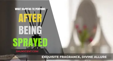 The Journey of Perfume: From Spray to Scent Dispersal Explained