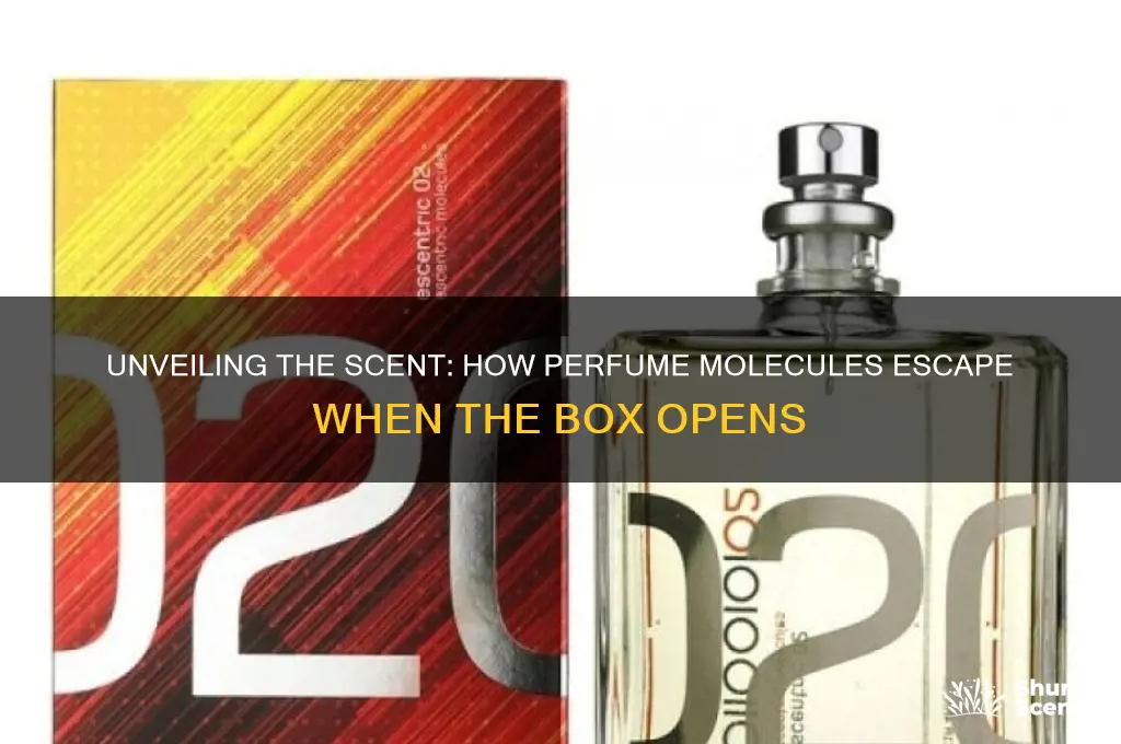 what happens to perfume molecules when the box opens
