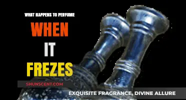 Does Frozen Perfume Still Work? Effects of Freezing on Fragrance