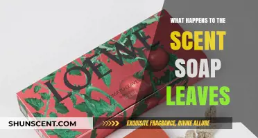 The Fragrant Journey: What Happens to the Scent Soap Leaves