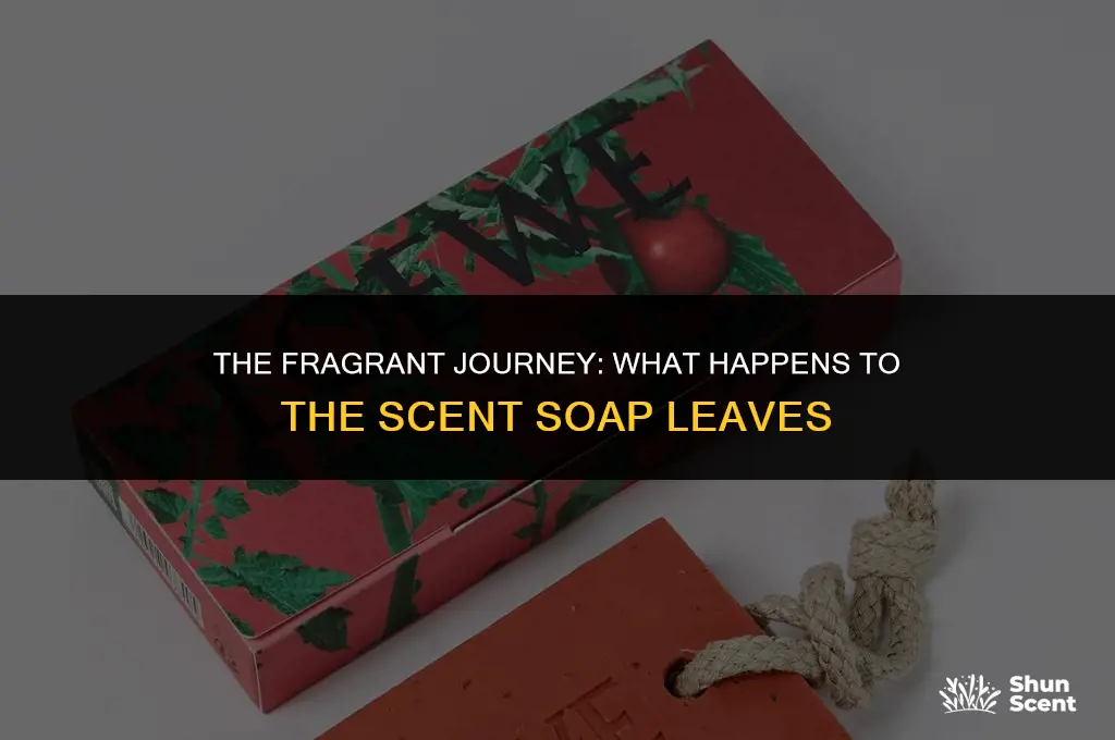 what happens to the scent soap leaves