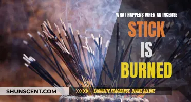 Incense Stick Burning: A Fragrant Journey to Ash