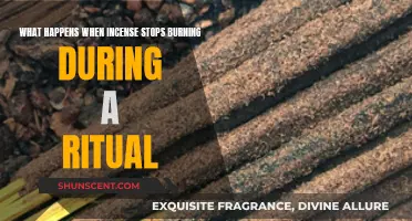 Incense Burning Rituals: What Happens When They Fizzle Out?