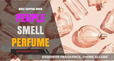 Perfume Power: Scent's Impact on the Brain