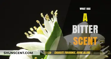 Unveiling Nature's Pungent Mysteries: What Has a Bitter Scent?