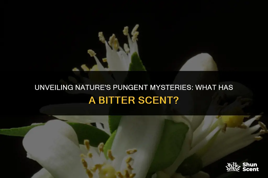 what has a bitter scent