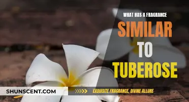 The Sweet Scent of Tuberose: Exploring Similar Fragrances