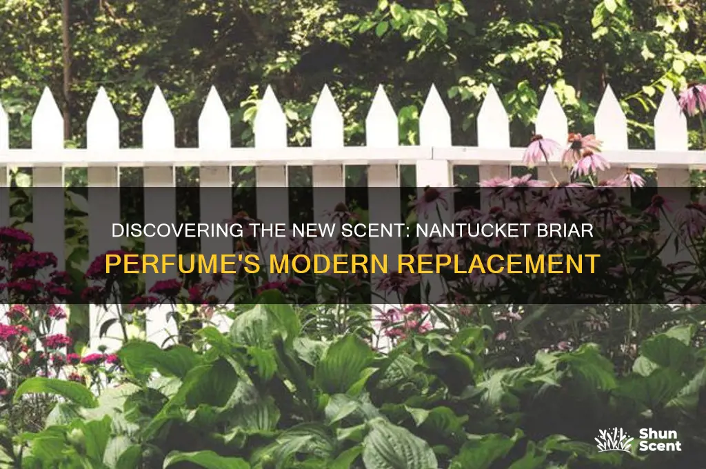 what has nantucket briar perfume been replaced with