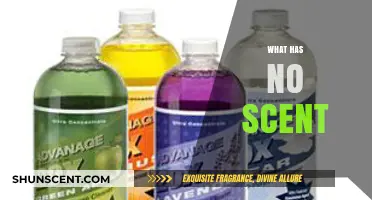 Exploring the Scentless: A Journey Through Odorless Wonders