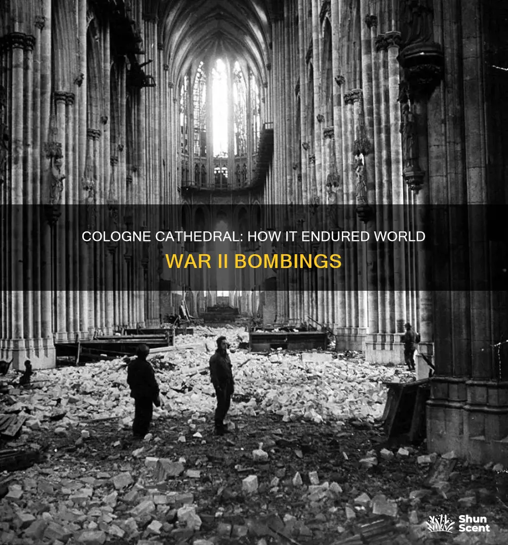 what helped cologne cathedral survive world war ii bombings