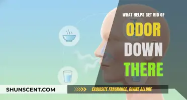 Fresh and Clean: Effective Ways to Eliminate Odor Down There