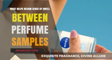 Perfume Samples: A Quick Smell Recovery Fix?