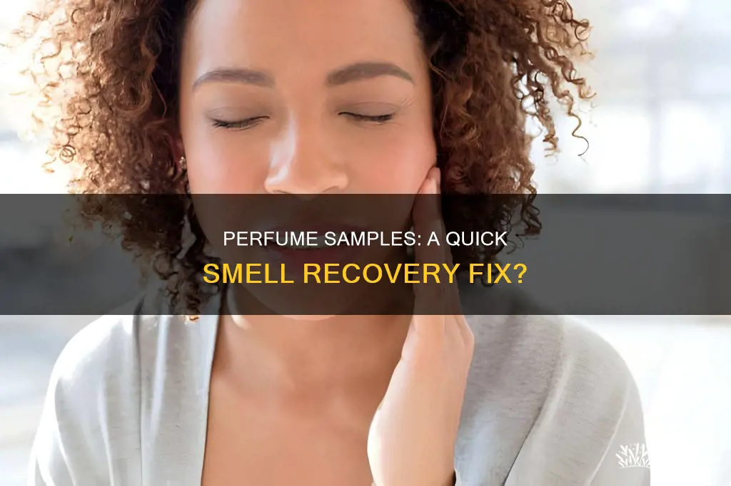 what helps regain sense of smell between perfume samples