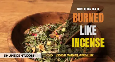 Herbs That Can Be Burned for Incense Aromas
