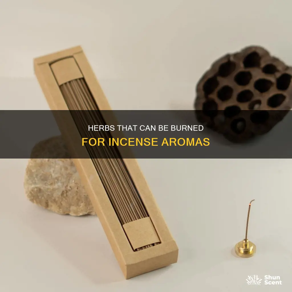 what herbs can be burned like incense