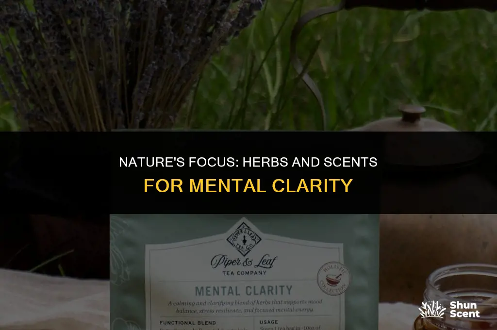 what herbs or scents are used for clarity