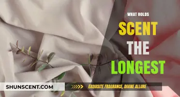 The Science of Scent: Exploring What Holds Fragrances the Longest