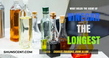 Exploring the Lingering Aroma: Vinegar's Scent Longevity Unveiled