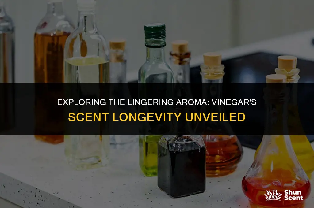 what holds the scent of vinegar the longest