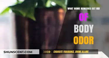 Freshen Up Naturally: Effective Home Remedies to Combat Body Odor
