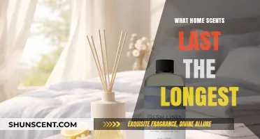 Long-Lasting Home Scents: A Guide to Fragrant Living Spaces