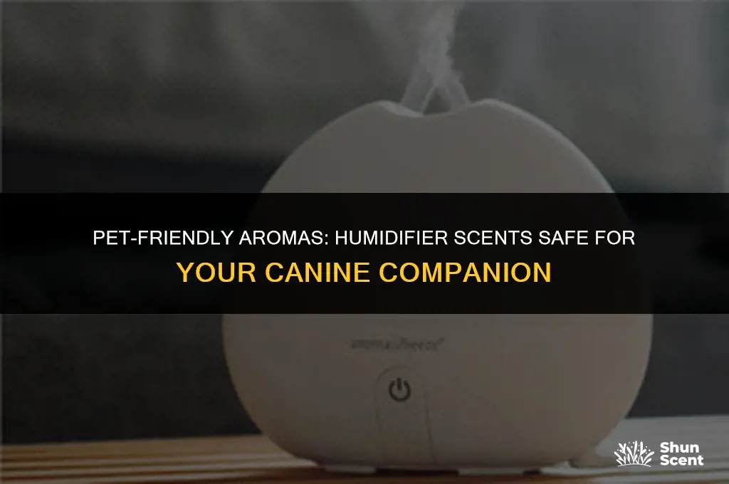 what humidifier scents are safe for dogs