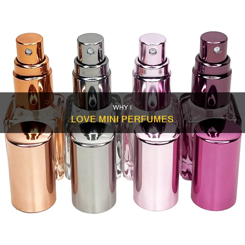 what i buy the mini perfume