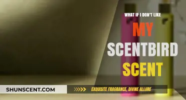 Unsatisfied with Your Scentbird Fragrance? Here's What to Do
