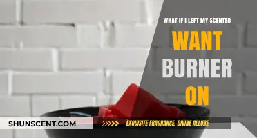 The Fragrant Dilemma: What If I Left My Scented Wax Burner On?