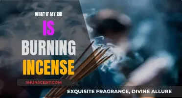 Incense and Kids: What Parents Need to Know