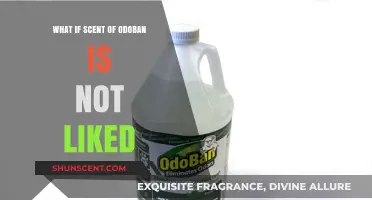 Unpleasant Odoban Odor: How to Handle It