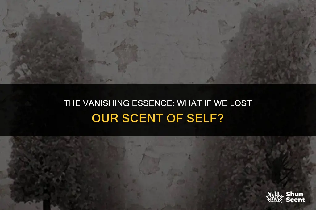 what if we lost our scent of sell