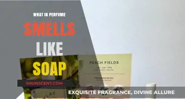 The Clean Scent: Soapy Notes in Perfumes