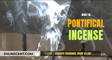 Incense and the Pope: What's in Pontifical Incense?