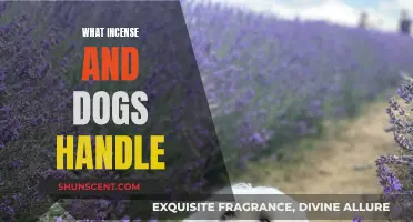 Incense and Dogs: A Fragrant Friendship
