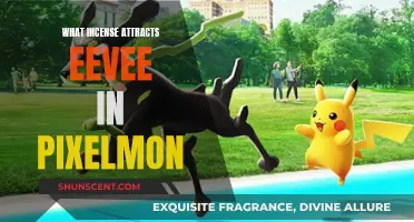 Incense to Attract Eevee in Pixelmon: A Guide
