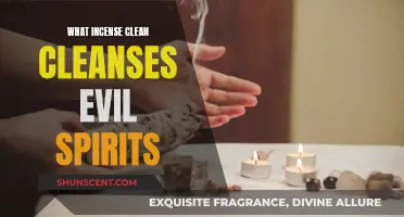 Incense Scents to Ward Off Evil Spirits