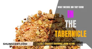 Incense in the Tabernacle: Exploring Ancient Aromas