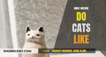 Incense Cats Love: Aromatic Scents for Your Feline Friend