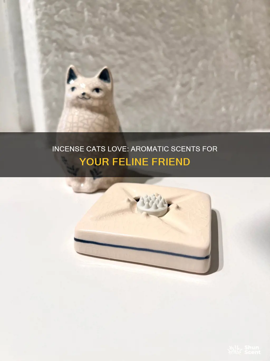 what incense do cats like