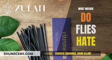 Incense to Keep Flies Away