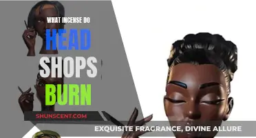 Incense Burning in Head Shops: What's in the Air?