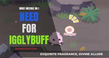 Igglybuff Incense: A Guide to the Perfect Scent