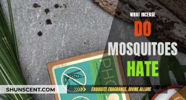 Incense to Keep Mosquitoes Away