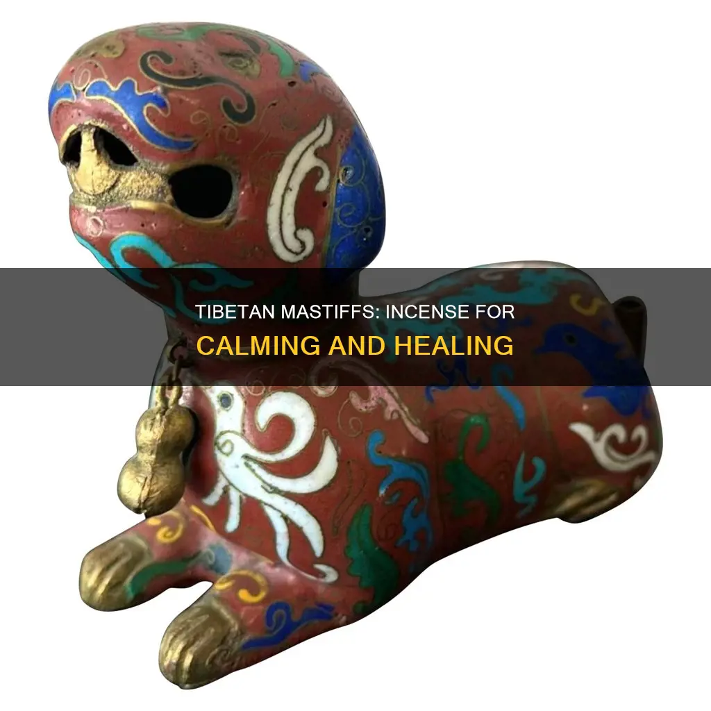 what incense do the tibetan mastiff