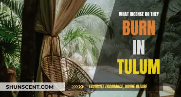 Incense Aromas of Tulum: Discovering the Ancient Scents
