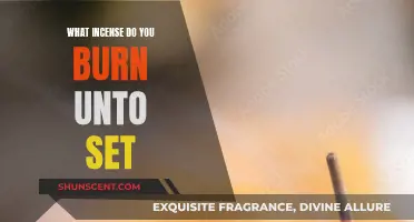 Incense for Set: Scents to Burn for the Ancient Egyptian God