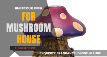 Incense Scents for a Mushroom House